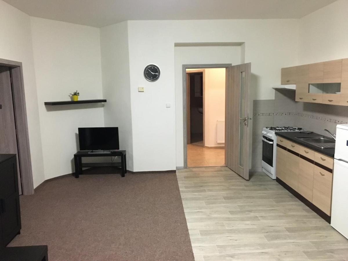 דצ'ין Apartmany U Muzea מראה חיצוני תמונה