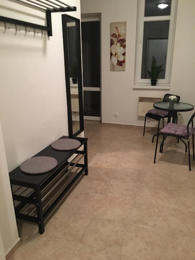 דצ'ין Apartmany U Muzea מראה חיצוני תמונה