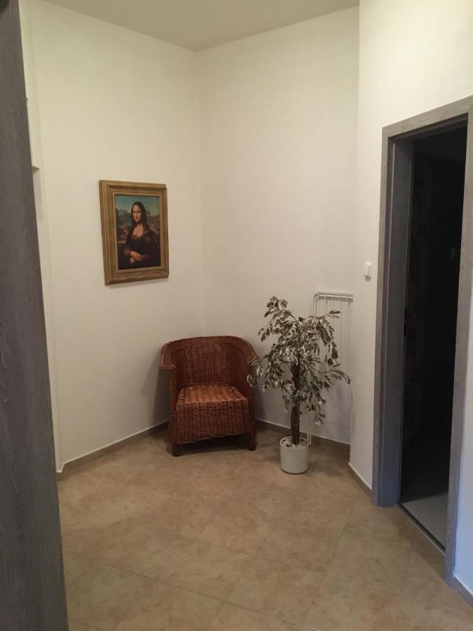 דצ'ין Apartmany U Muzea מראה חיצוני תמונה